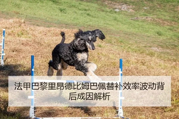 法甲巴黎里昂德比姆巴佩替补效率波动背后成因解析
